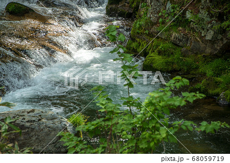 新緑の照葉峡 奥利根 群馬県みなかみ町 新緑の照葉峡 奥利根 群馬県みなかみ町 68059719