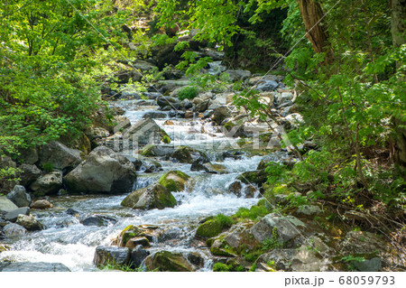 新緑の照葉峡　奥利根　　群馬県みなかみ町　　 68059793