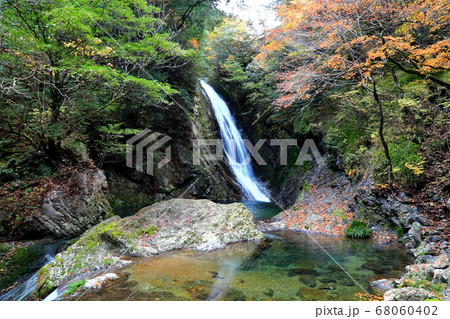 紅葉の飛騨金山（黄金姫ゆかりの山道）・22　岐阜県下呂市金山 68060402
