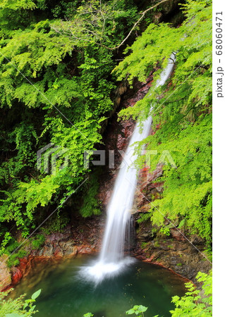 秩父華厳の滝 秩父華厳の滝 68060471