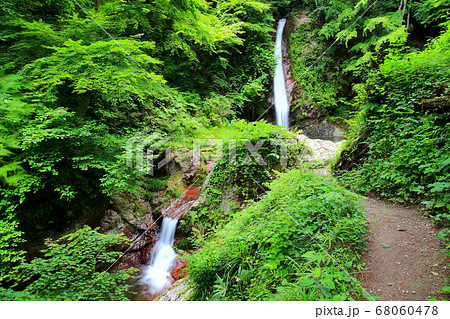 秩父華厳の滝 68060478