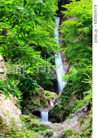 秩父華厳の滝 68060479