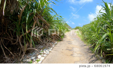 奄美大島のホノホシ海岸 68061974