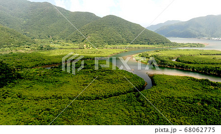 奄美大島の黒潮の森マングローブの空撮 68062775