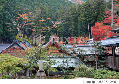 紅葉の谷汲山華厳寺 1 岐阜県揖斐郡揖斐川町谷汲 の写真素材