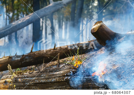 After rain forest fire disaster is burning caused 68064307
