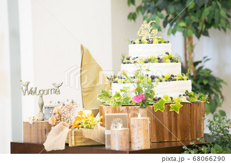 シャインマスカットの大きなケーキ 68066290