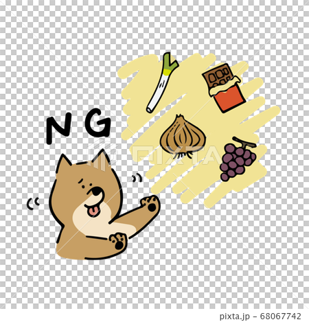 犬が食べてはいけないNG食材 68067742