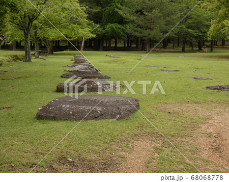 大講堂の礎石群・東大寺 大講堂の礎石群・東大寺 68068778