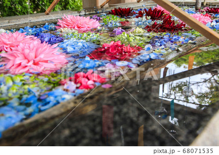 福岡 春日神社の花手水の写真素材