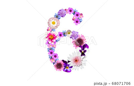 花で作った数字の6 花数字 花フォント の写真素材