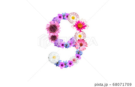 花で作った数字の9 花数字 花フォント の写真素材