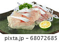 新鮮な白身のお刺身のリアルなイラスト 68072685