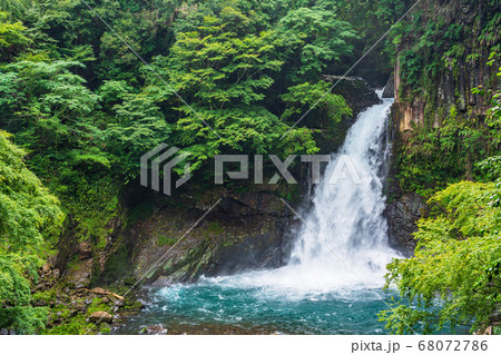 (静岡県)河津七滝・大滝 (静岡県)河津七滝・大滝 68072786