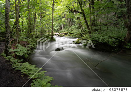 奥入瀬渓流 68073673