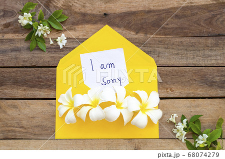 i am sorry message card handwriting in yellow envelope with flowers frangipani arrangement flat lay postcard style i am sorry message card handwriting in yellow envelope with flowers frangipani arrangement flat lay postcard style 68074279