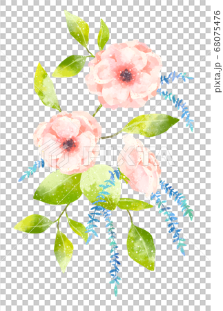 優しいタッチのアネモネのイラスト 68075476