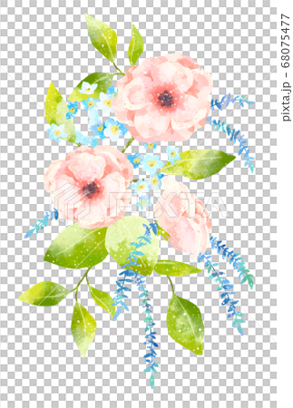 優しいタッチのアネモネと勿忘草のイラスト 68075477