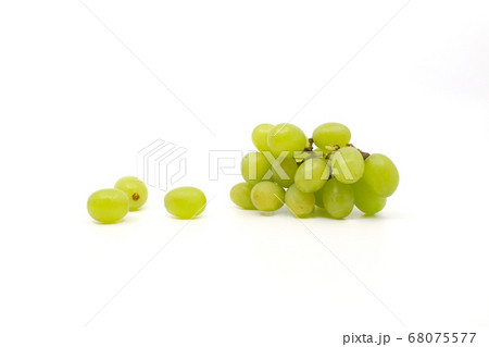 ブドウ フルーツ 果物 68075577
