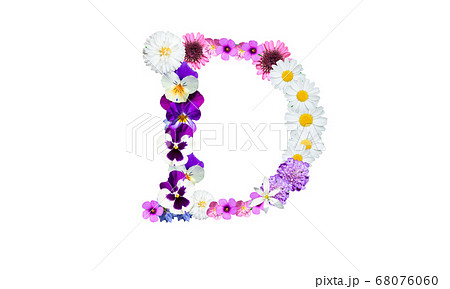 花文字 花フォント 春の花 アルファベットのd の写真素材
