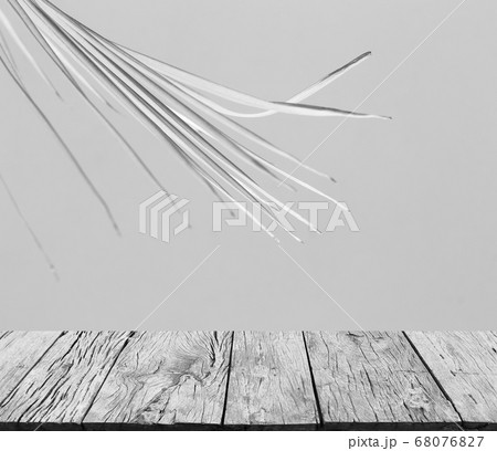 Abstract gray shadow background of palm leaves Abstract gray shadow background of palm leaves 68076827
