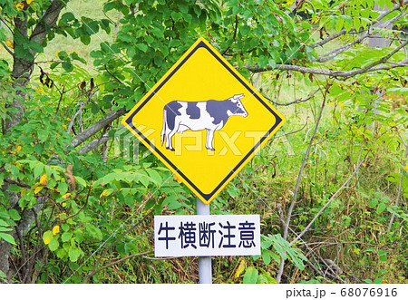 北海道 牛横断注意の標識 北海道 牛横断注意の標識 68076916