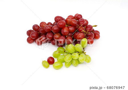 ブドウ フルーツ 果物 68076947