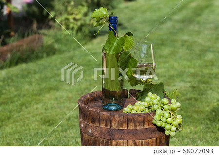 White wine on wooden vintage barrel White wine on wooden vintage barrel 68077093
