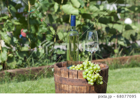 White wine on wooden vintage barrel  68077095