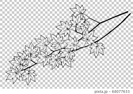 紅葉の枝のイラスト 68077633
