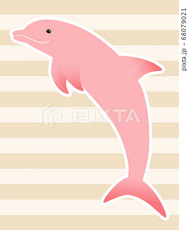 ジャンプするピンクイルカのイラスト 白フチ のイラスト素材