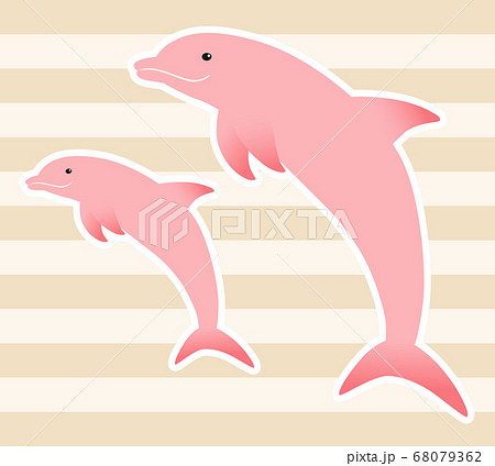仲良しなピンクイルカの親子 白フチ のイラスト素材