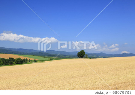 北海道　田園風景 68079735