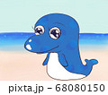 可愛いイルカ 68080150