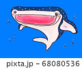 可愛いじんべえざめ 68080536
