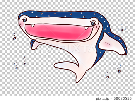 Cute whale shark Cute whale shark 68080536