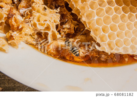 Close up view of the working bee on the honeycomb 68081182