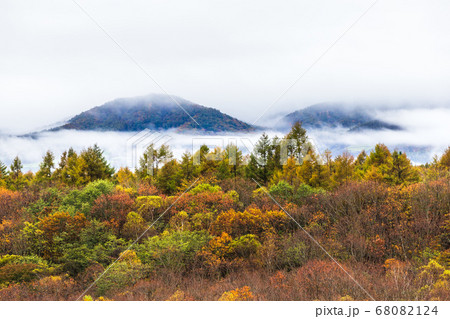 長野と山梨に跨がる八ヶ岳、秋の風景・日本 長野と山梨に跨がる八ヶ岳、秋の風景・日本 68082124