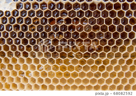 Close up view of honeycomb with honey as Close up view of honeycomb with honey as 68082592