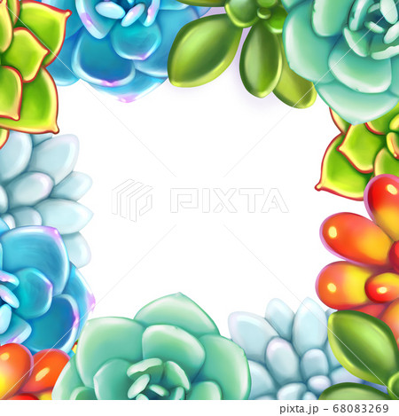 Floral Border. Succulents arranged un a shape of frame 68083269
