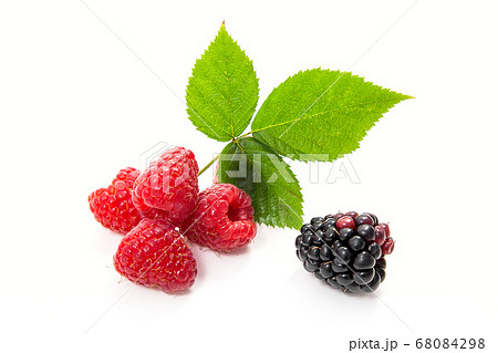 Ripe raspberries with leaf and blackberry isolated 68084298