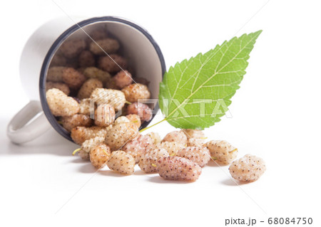 White cup with white mulberry fruit and leaf White cup with white mulberry fruit and leaf 68084750