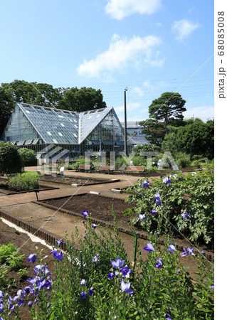東京都薬用植物園 68085008