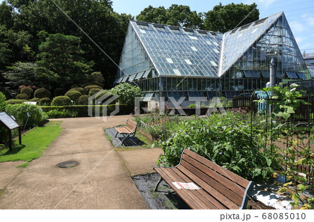 東京都薬用植物園 68085010