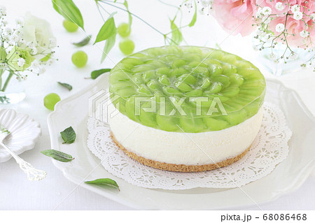 シャインマスカット のレアチーズケーキの写真素材 [68086468] - PIXTA