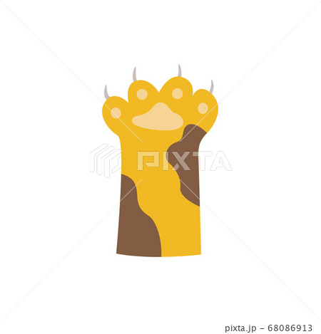 Cartoon cat paw with little claws isolated on white background 68086913
