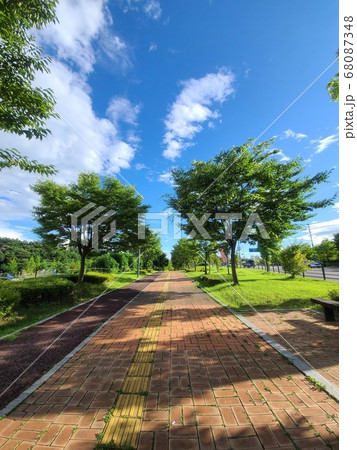 景色 公園 夏 68087348