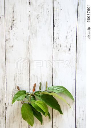 ヒハツ ヒハツ 68087604