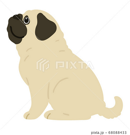 最も人気のある かわいい 犬 イラスト パグ 最高の新しい壁紙aahd