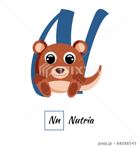 English animal alphabet letter N in vector style - Stock Illustration  [68088545] - PIXTA